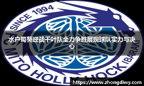 意甲免费直播在线观看高清